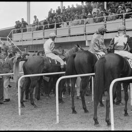 Japan/BOP Trophy race - Tga Racecourse