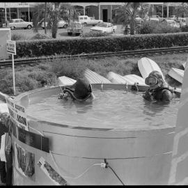 Divers - Ferris Townshend and Bernie Laison