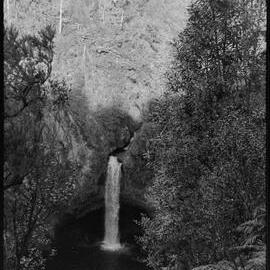 Camera Club Picnic  McLarens, Ōmanawa Fall