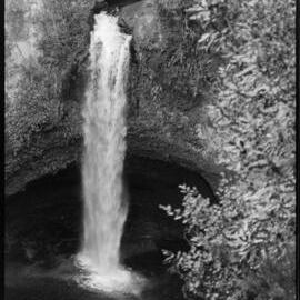Camera Club Picnic  McLarens, Ōmanawa Fall
