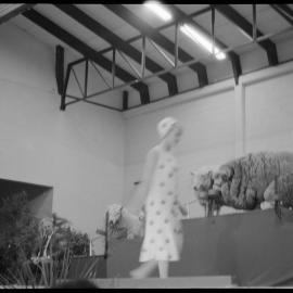 Expo Wool Show - QEYC