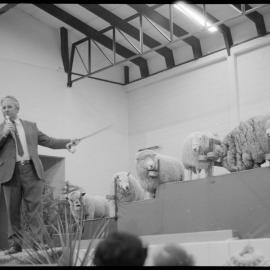 Expo Wool Show - QEYC