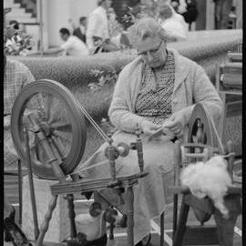 Expo Wool Show - QEYC