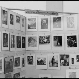 Tauranga Photographic Society Display