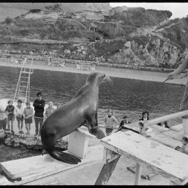 Nigel Thompson - Marineland