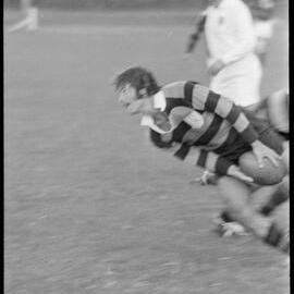 Te Puna vs Cadets - Rugby