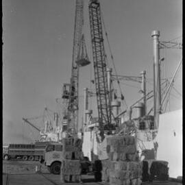 Loading ships at Port of Tauranga