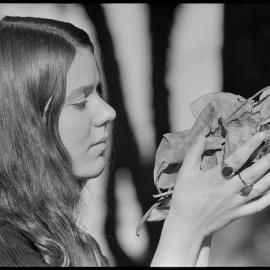 Heather Gilmour - Tauranga Domain