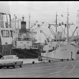 Capitaine Cook - Mount Wharf