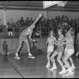 Newcastle vs BOP - Basketball