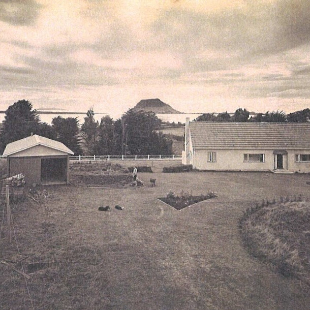 Four Winds Farm: A Historic Homestead in Ōtūmoetai, Tauranga