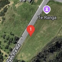 Battle of Te Ranga, June 21, 1864 (Event) 