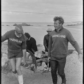 Lodger beams in at Mount