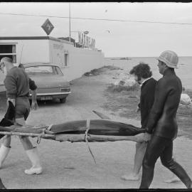 Lodger beams in at Mount
