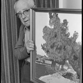 Resident artist 'bulldozed'