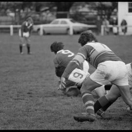 Tauranga storms into shield rugby final with Whakatāne