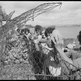 Tauranga Boys College third formers, Maungatapu