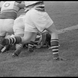 Counties vs Tauranga