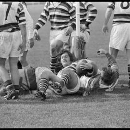 Counties vs Tauranga