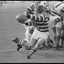 Counties vs Tauranga