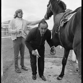 Mr Joe Honeyfield, horse farrier
