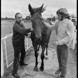 Mr Joe Honeyfield, horse farrier
