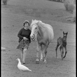 Colt shows talent early