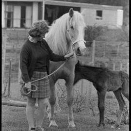 Colt shows talent early