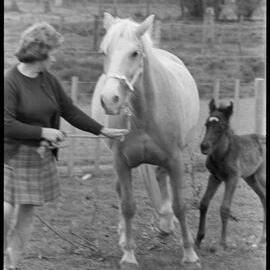 Colt shows talent early