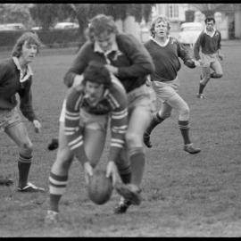 Tauranga XV v Bay of Islands 