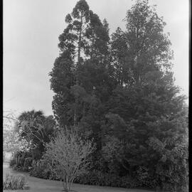 Historic Adams Home 'Taiparoro'