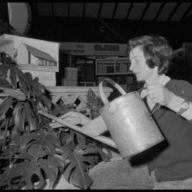 Mrs Jo Dawkins at Bay of Plenty Industries Fair