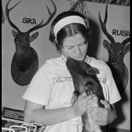 Bay of Plenty Industries Fair