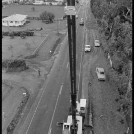 Gum tree felling, Bethlehem