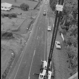 Gum tree felling, Bethlehem