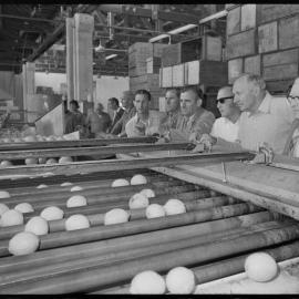 Citrus Marketing Authority's packhouse