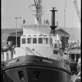 Monowai Tug Boat