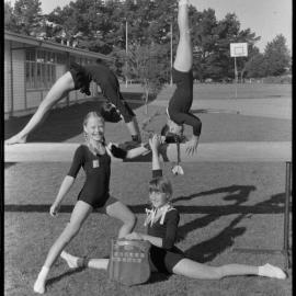 Success for Mount gym club