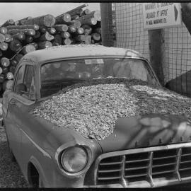 Wood chips on car at Pilot Bay
