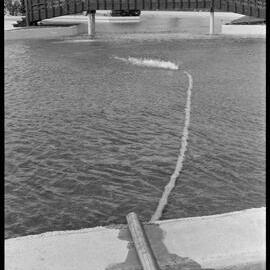 Memorial Park Marina