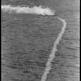 Memorial Park Marina