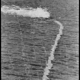 Memorial Park Marina