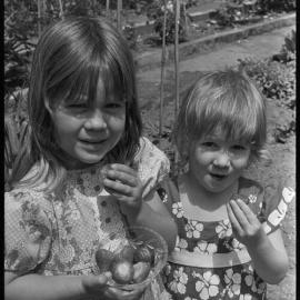 Annual Strawberry Luncheon