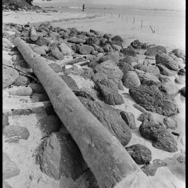 Port pollution on Mauao