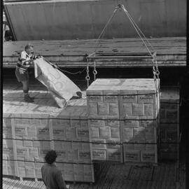 Refridgerated Freighter