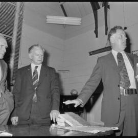 Bay of Plenty conservationists