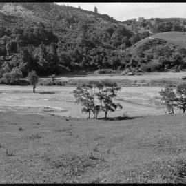 New circuit for go-karts, Te Puke