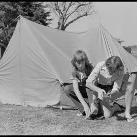 Camp set up in Tauranga's Jordan Park