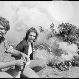Burning damaged feijoa plants