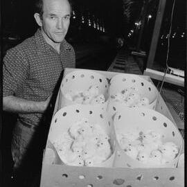 Te Puna poultry farm